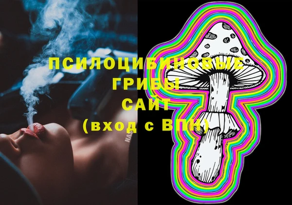 ECSTASY Алзамай