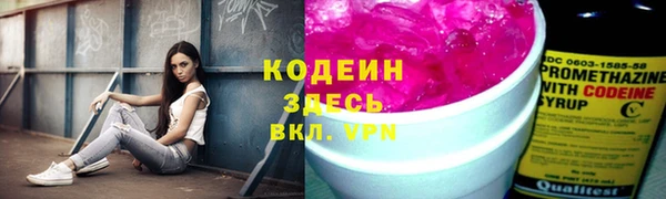 ECSTASY Алзамай