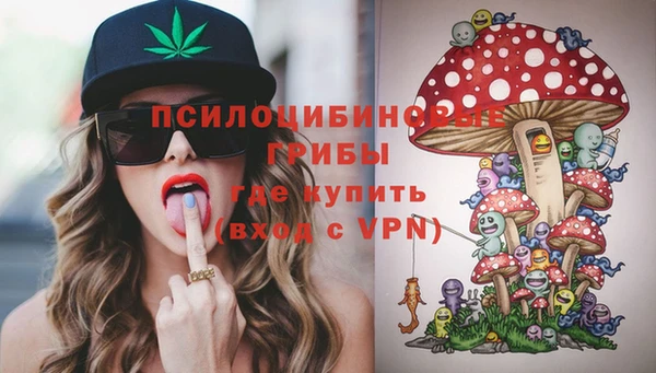 прущие грибы Алексин