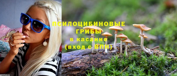 ECSTASY Алзамай