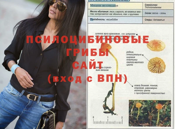 винт Алексеевка