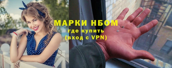 ECSTASY Алзамай